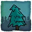 Healthy forest air icon