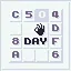 Daily Perfection icon