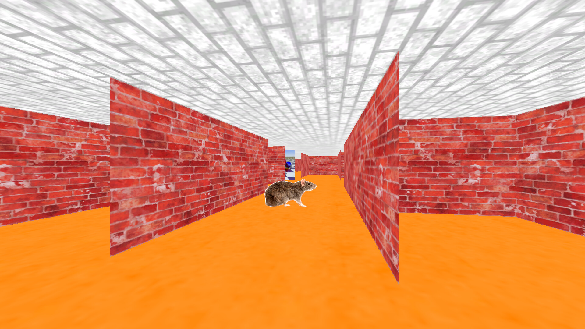 3D Maze 95 Screenshot 1