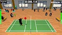 Birdminton Screenshot 5