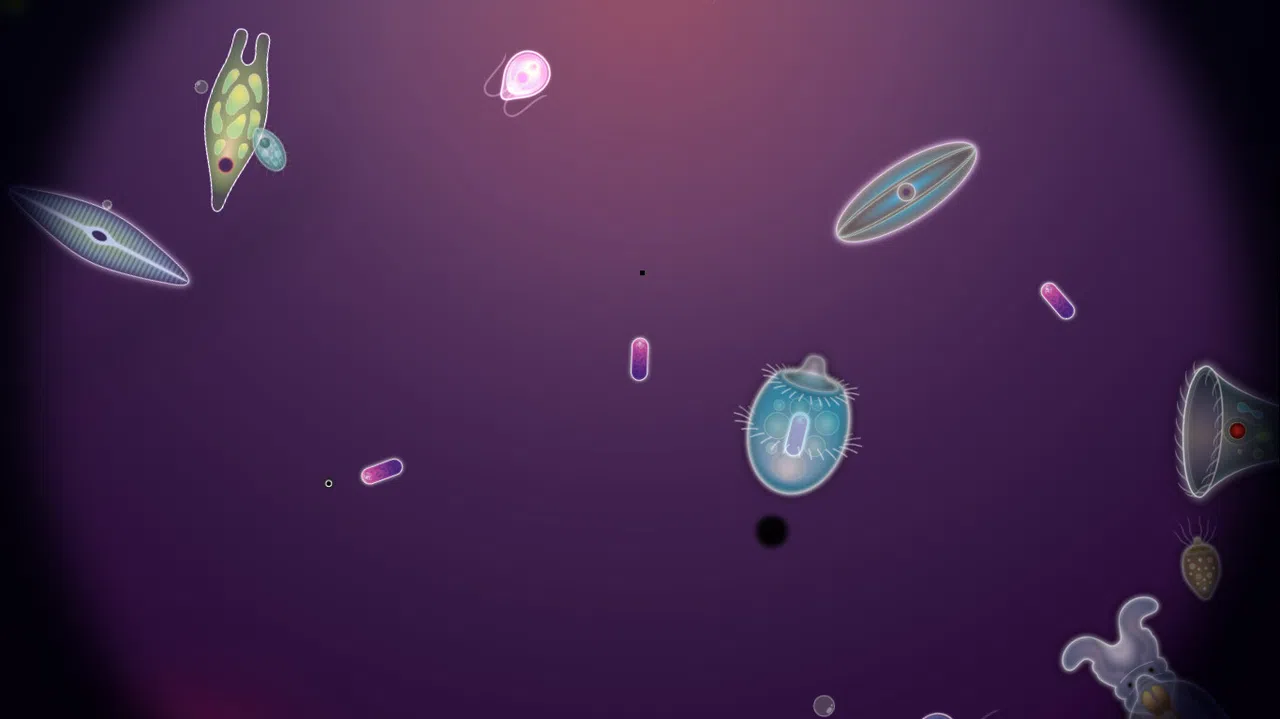 Symbio Screenshot 4