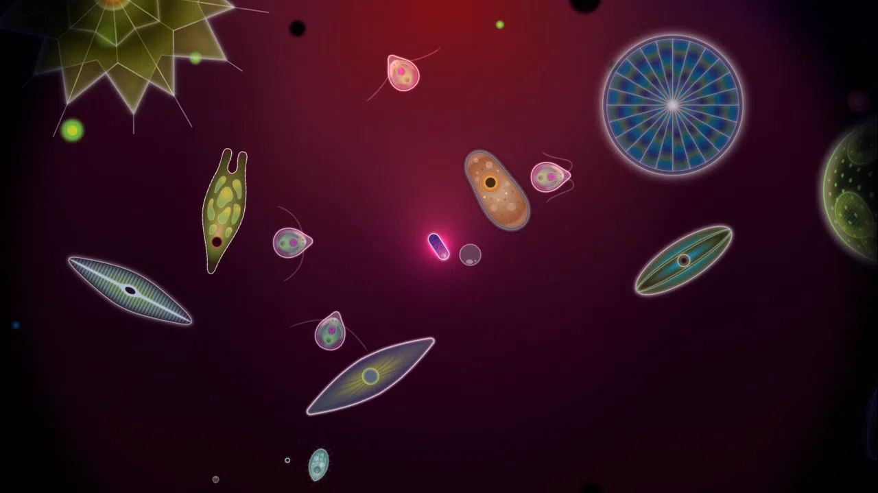 Symbio Screenshot 7
