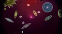 Symbio Screenshot 7