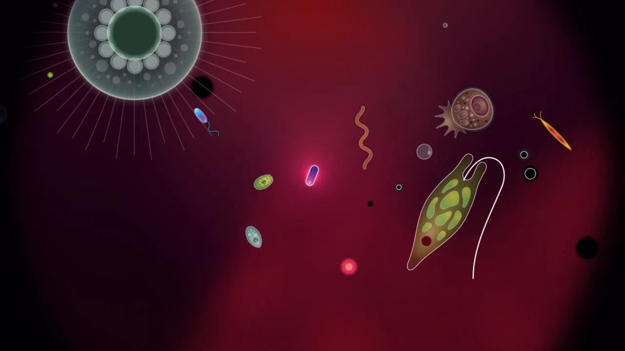Symbio Screenshot 6