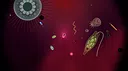 Symbio Screenshot 6