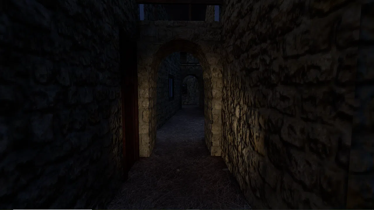 Abondoned village Screenshot 4