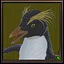 Achieving 5 achievement points icon