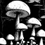 Strange place icon
