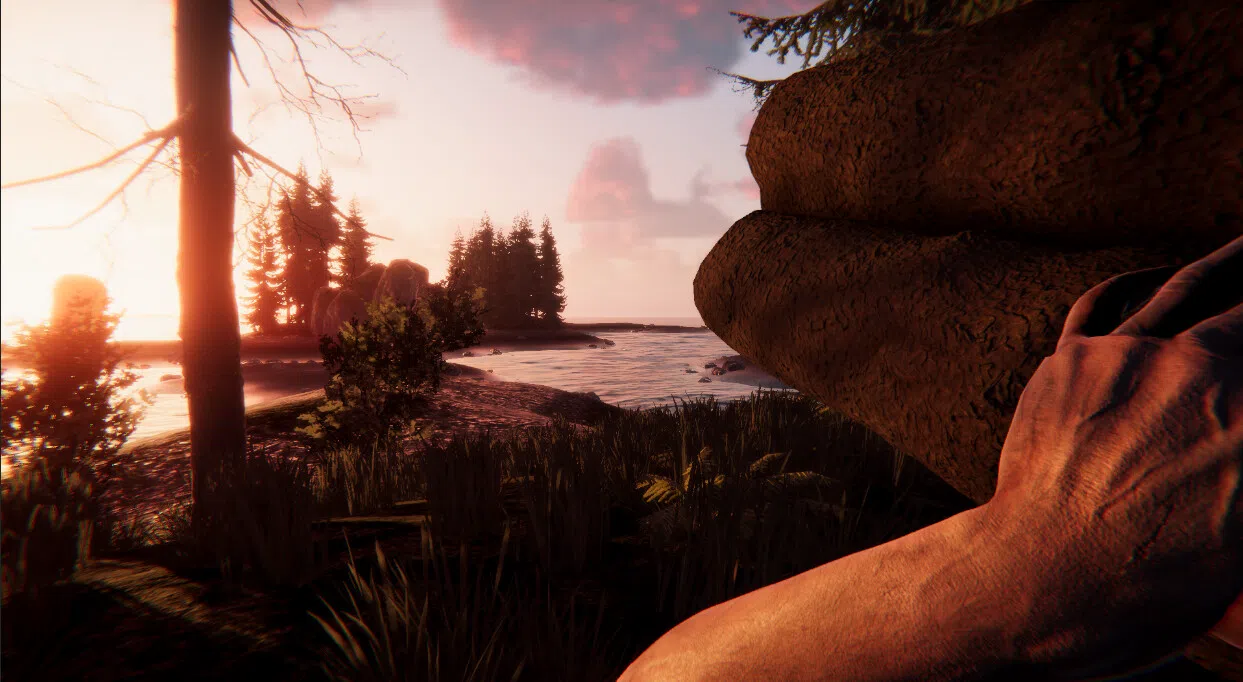 Warhawk Down Screenshot 9