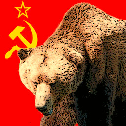 Internationalist icon