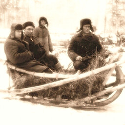 One Day in the Life icon