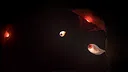 Evolution From the little light Screenshot 4