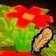Forest Guide icon
