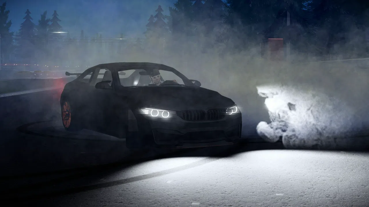 PolyZen Drive Screenshot 18