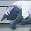 Cat lover icon