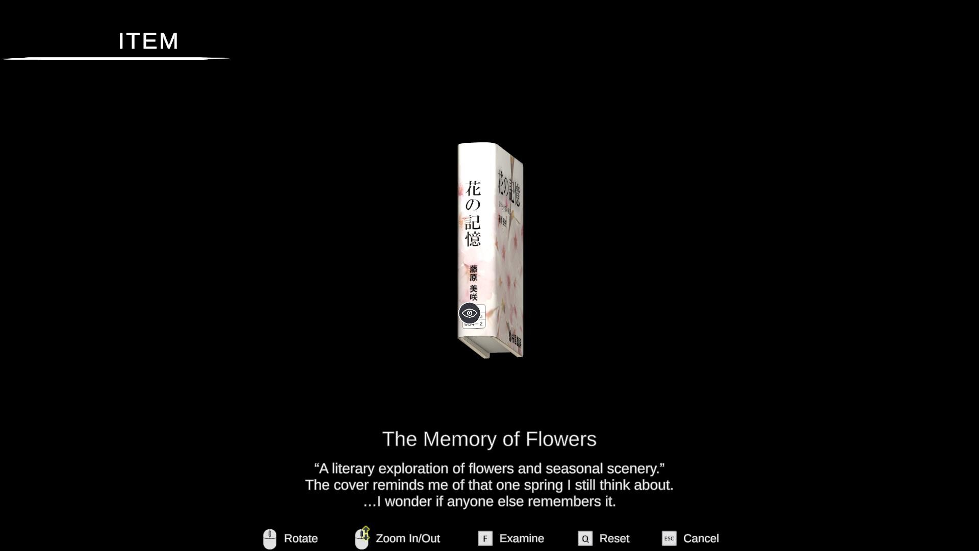 Solitary in the Library Screenshot 4