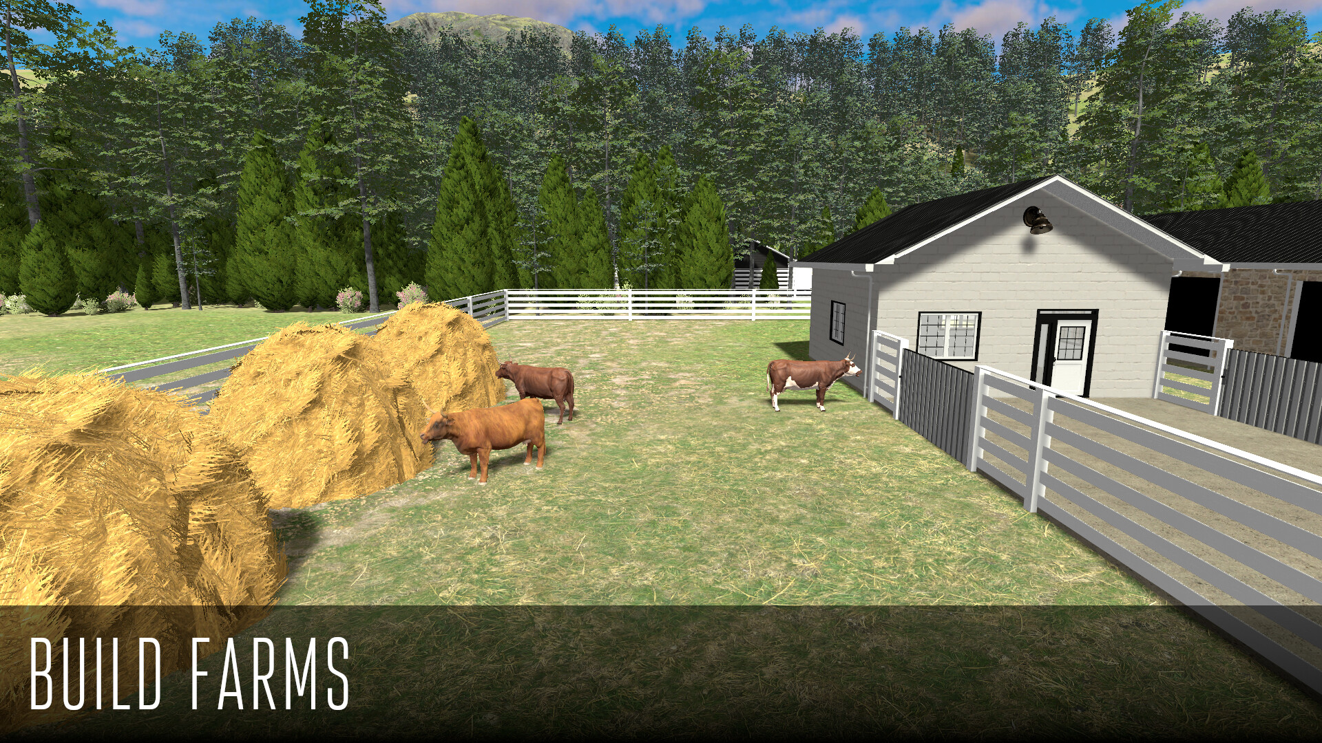 Field & Sky Screenshot 1