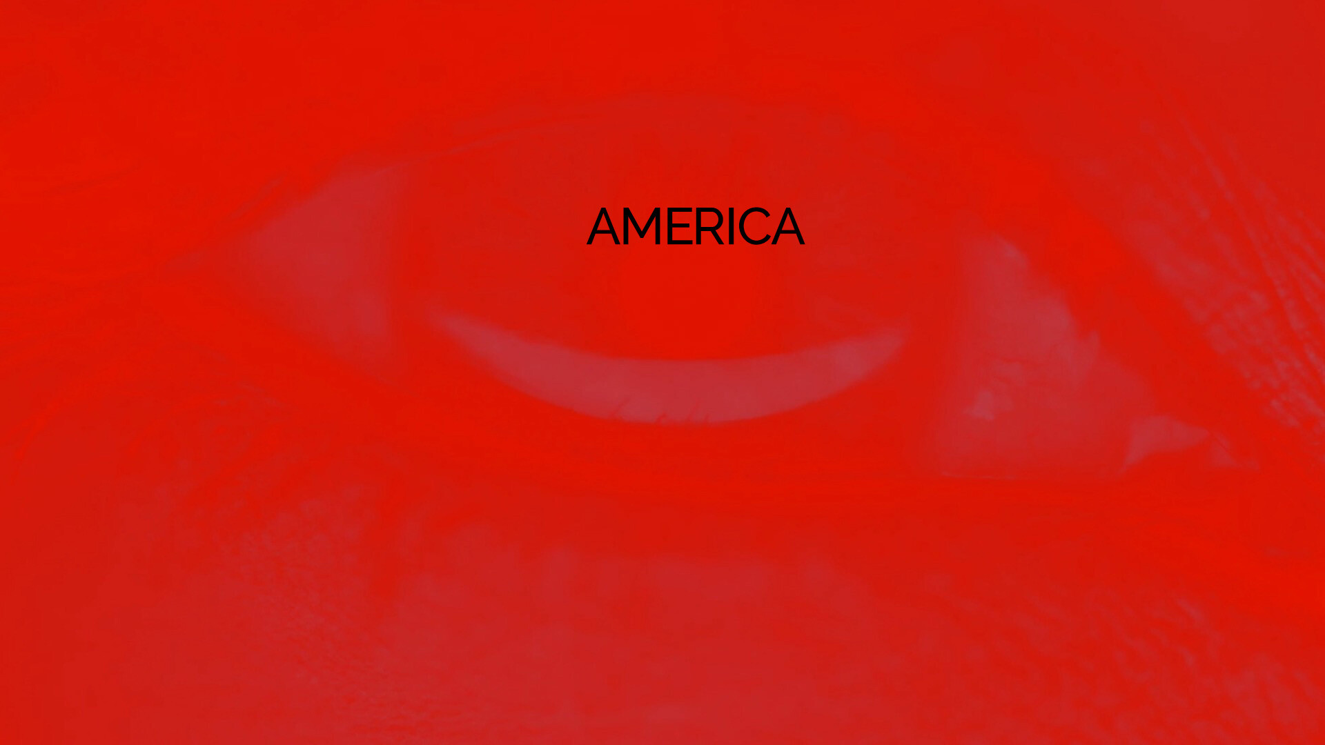 Project D████ Screenshot 4