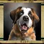 Pet Buck icon