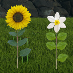 Synta Nefatum'un Zengin Bitki Örtüsü icon