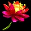 Find a special plant icon