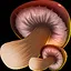 Find remedy for pain icon