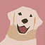 Meet Lucy icon