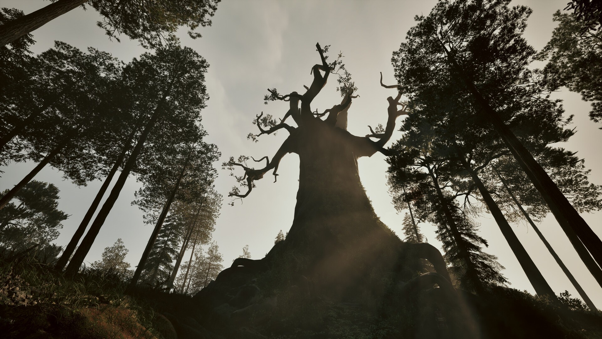 Among the Trolls Screenshot 6