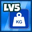 Premium Storage icon