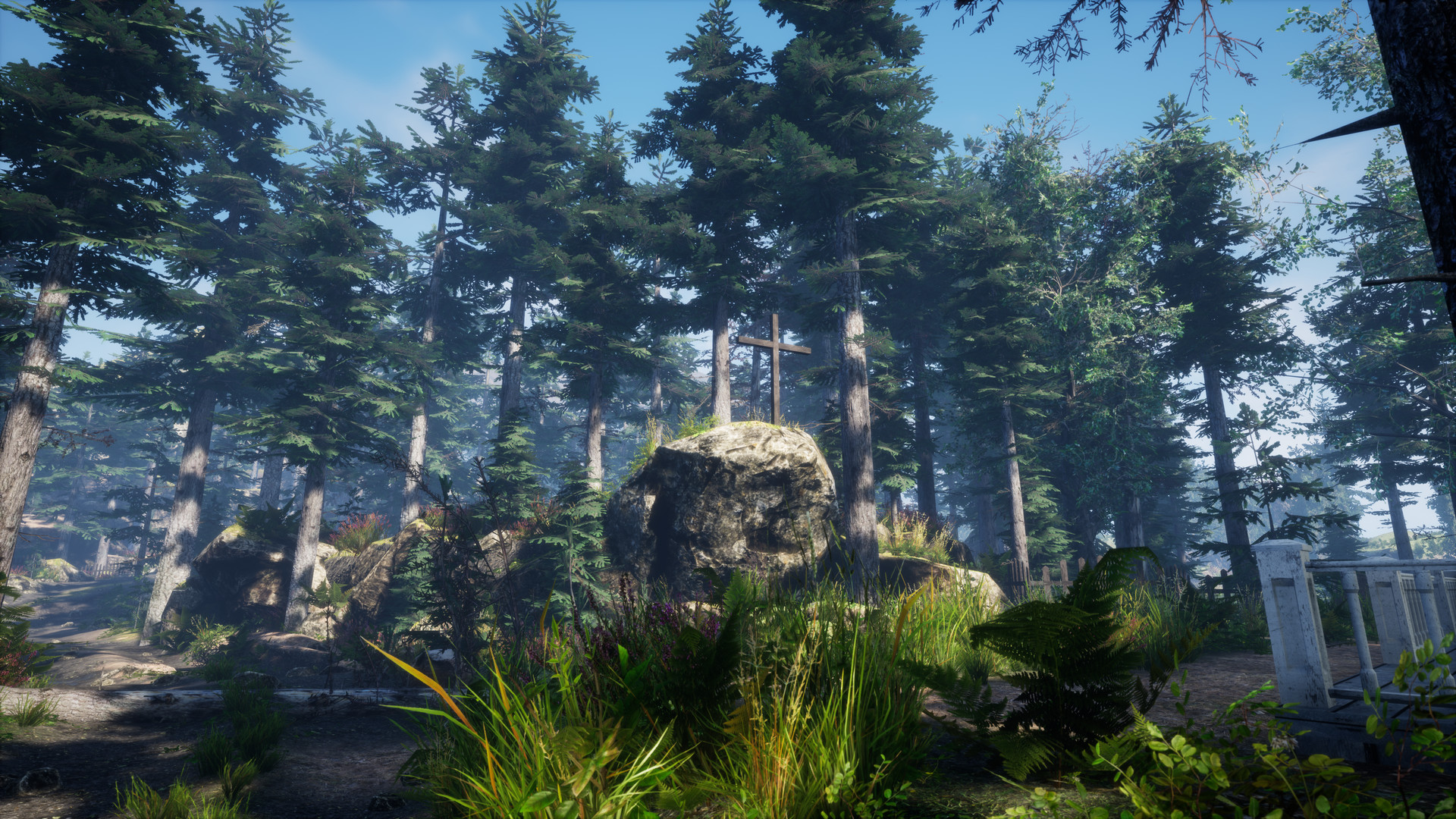 Blackberry Screenshot 19