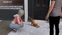 Esoterika Screenshot 4