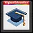 Higher Education