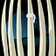 BONE GATE icon