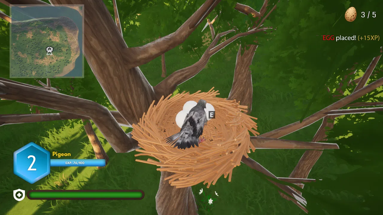 Bird Game Screenshot 2