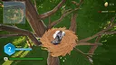 Bird Game Screenshot 2
