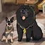 Hero Dogs icon