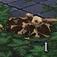 Nest Outer Normal icon