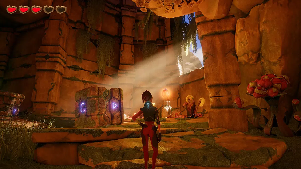 The Explorer Screenshot 1