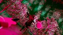 Haunt N Seek: Silent Siren Screenshot 3