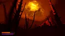 Enthralled Screenshot 2