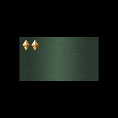 Promotion: Private First Class icon