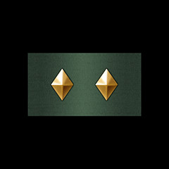 Promotion: Sergeant