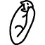 Hyacinth icon