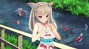 Asian Foxes Screenshot 3