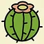 Welcome to the desert icon