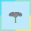 Bloom Once icon
