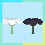 Bloom Twice icon
