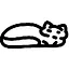 Hayat icon