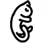 Pınar icon