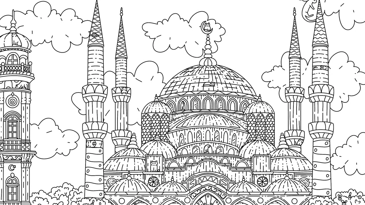 100 Istanbul Cats Screenshot 14